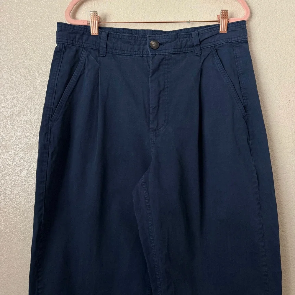 Everlane Pants Womens 12 Everywhere Barrel Pleated Chino Organic Cotton Linen